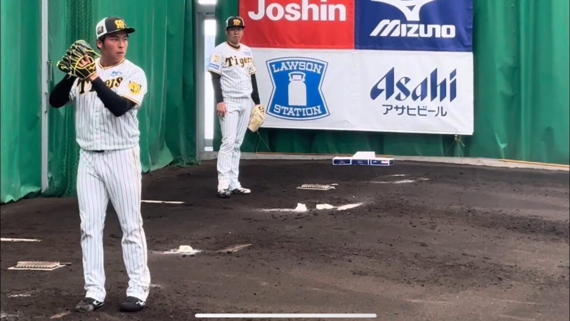西勇輝も熱視線ドラフト2位椎葉剛のブルペン 鉄壁阪神投手陣のブルペン👀岩崎優/青柳晃洋/桐敷拓馬/岡留秀貴/石井大智/及川雅貴/伊藤将司　#阪神タイガース #阪神 #青柳晃洋