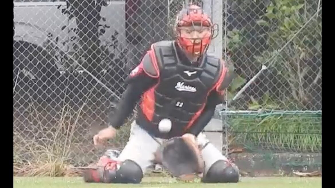 侍ジャパン選出 ロッテ 田村龍弘 ワンバウンド処理練習 2017 フェニックスリーグ