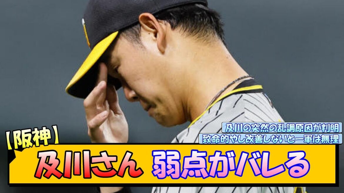 【阪神】及川さん 弱点がバレる【なんJ 反応 まとめ】