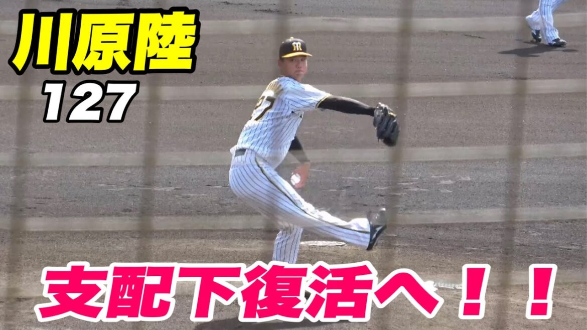 【藤原根尾世代の大阪桐蔭に唯一黒星をつけた男 川原が登板！！育成からの復活なるか！】阪神対サムスンライオンズ