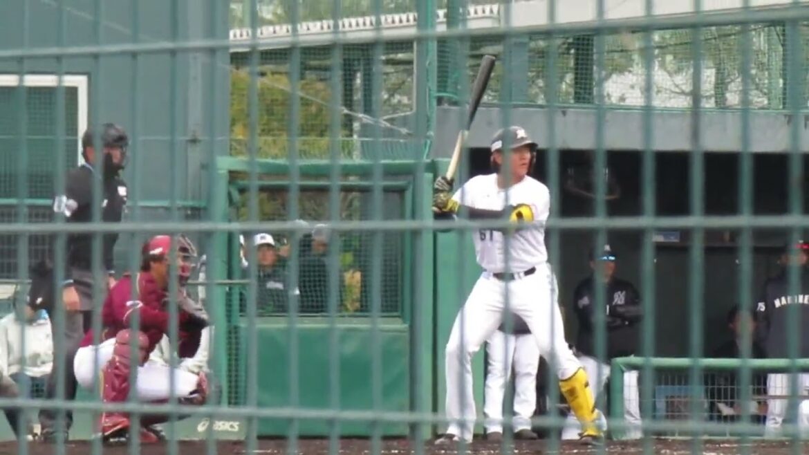 【マリーンズ】山本大斗の打撃フォーム2024年3月5日 春季教育リーグロッテ浦和球場 千葉ロッテ対 楽天イーグルス