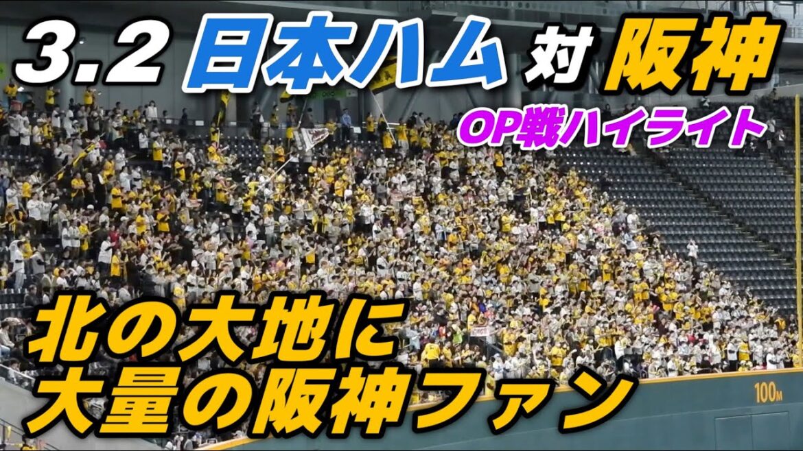 【オープン戦ハイライト】2024.3.2北の大地に阪神ファンに集結！門別・茨木が凱旋登板で好投！日本ハムは杉浦が自己最速の159キロを計測するなど1回0封でピシャリ【日本ハム vs 阪神】