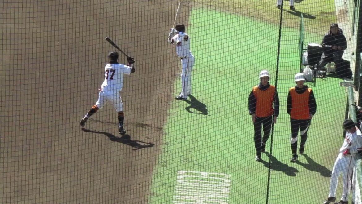 試合開始前 中山礼都や若林晃弘が素振り（春季教育リーグ 読売ジャイアンツ対 西武ライオンズ2024年3月10日）