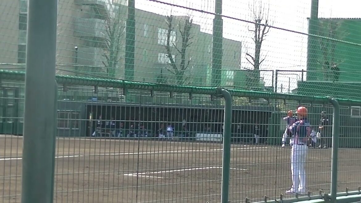 オイシックス新潟 元ヤクルト中山翔太を三振にとる古谷拓郎【千葉ロッテマリーンズ対オイシックス新潟アルビレックスBC2024年3月7日】