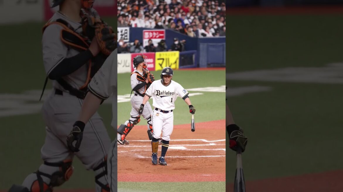 京セラでバッターを4K撮影 #福田周平 #オリックスバファローズ #プロ野球