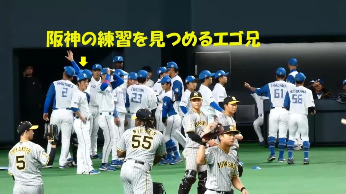 【20240303】試合前の様子（日本ハム対阪神）