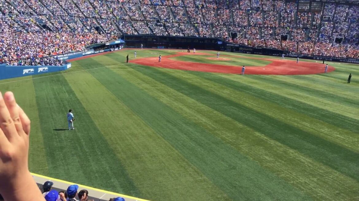 横浜DeNAベイスターズ #39 嶺井博希 応援歌（2016年使用開始新曲）