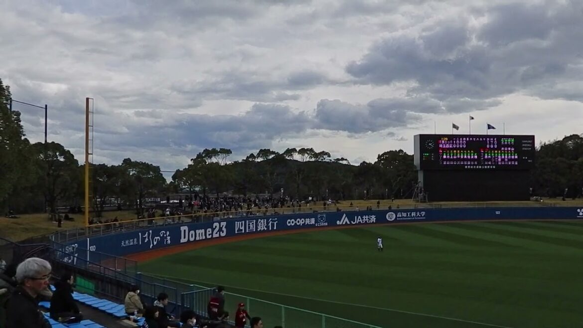 24.03.02 M-L 平沢大河応援歌②(レッツゴー大河)