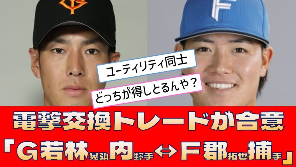 【巨人⇔日本ハム トレード】電撃交換トレードが合意「Ｇ若林晃弘内野手⇔Ｆ郡拓也捕手」【プロ野球 2ch 5ch なんJ】