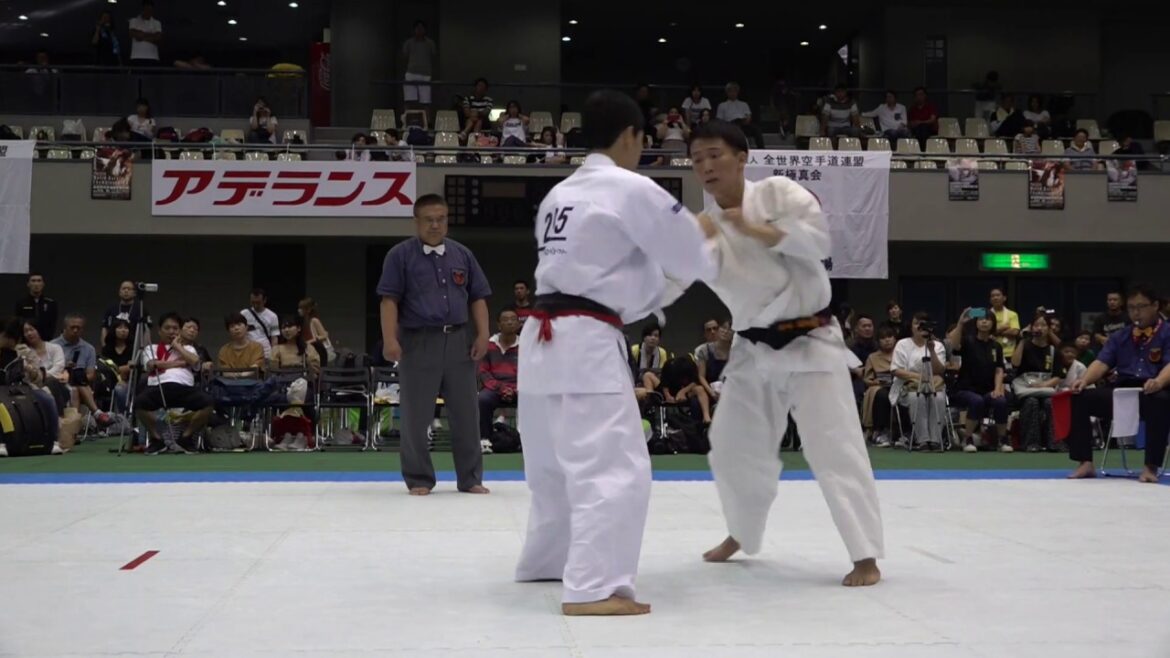 【新極真会】第36回全中国空手道選手権大会　決勝　安村哲　対　古本翔基　SHINKYOKUSHINKAI KARATE