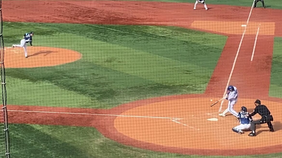 【西川愛也好守】佐野恵太二塁打→石上泰輝センターフライ 5回裏 横浜DeNAベイスターズ 2024年3月10日 横浜スタジアム 埼玉西武ライオンズ 松本 京田