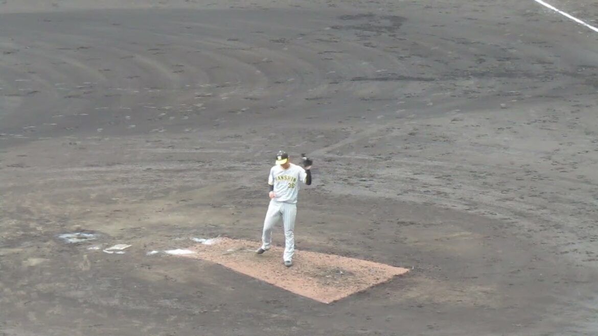 【タイガース】浜地真澄2024年 投球フォーム（巨人阪神オープン戦2024年2月23日）