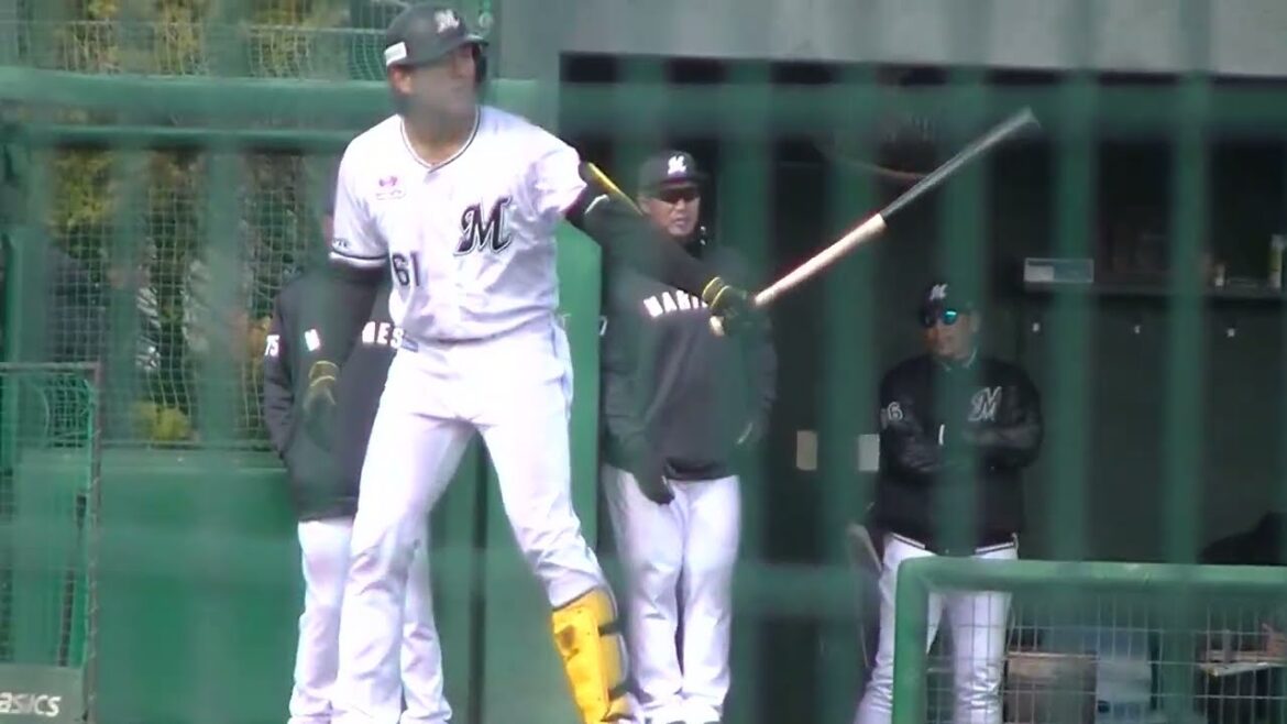 ロッテ山本大斗の打撃フォーム【千葉ロッテマリーンズ対オイシックス新潟アルビレックスBC2024年3月7日】