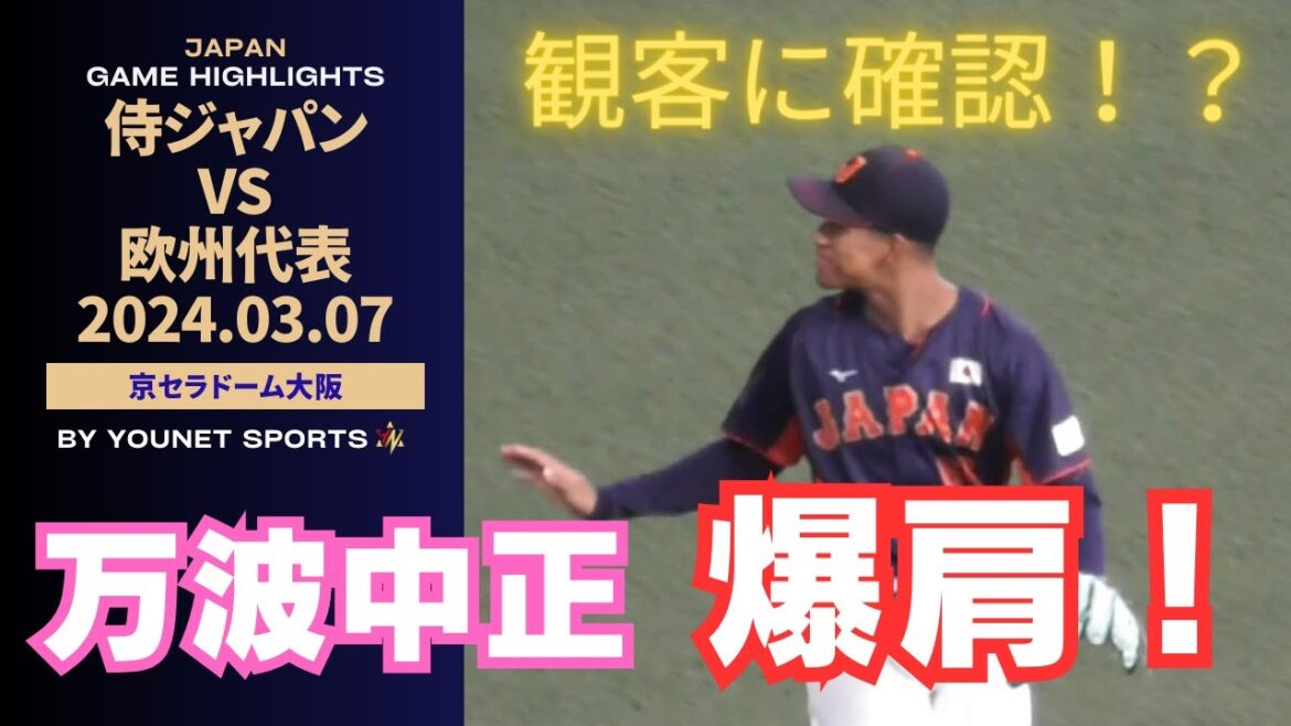 【爆肩】万波中正の鉄砲肩が凄すぎる！