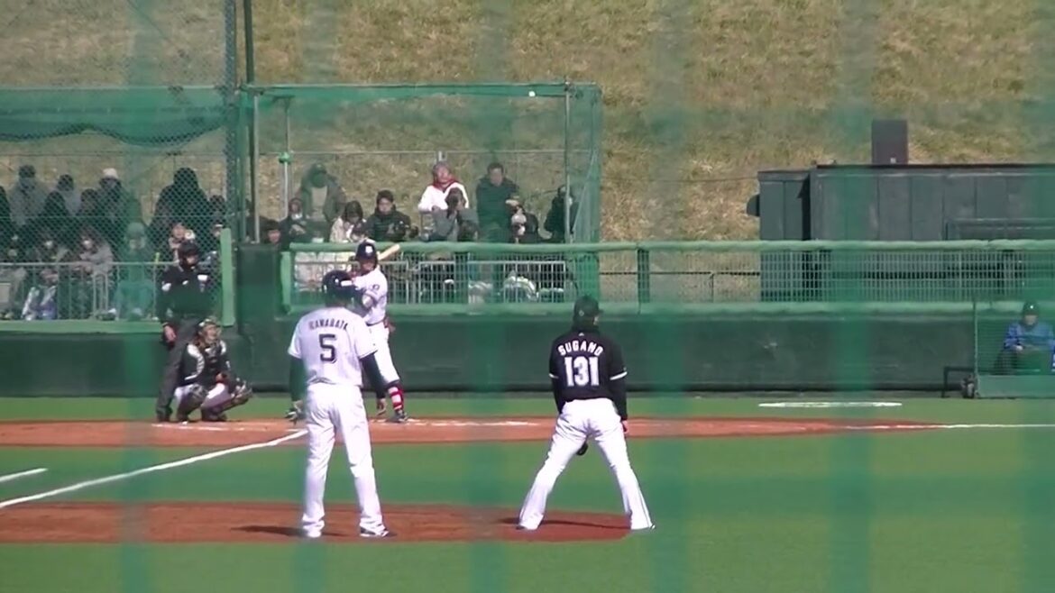 これは凄い高卒ルーキーの予感！鈴木叶が川端慎吾ヒットのあと2点タイムリーとなる二塁打を左中間へ2024年3月9日 春季教育リーグヤクルトスワローズ対 千葉ロッテマリーンズ