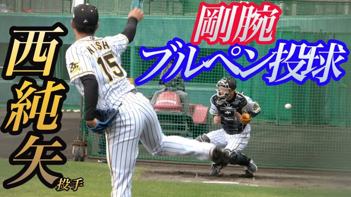 【4K高画質】阪神ドラ１西純矢投手ブルペン投球！球の勢いがエグい！この後、井上広大選手とランチ打撃で対戦！