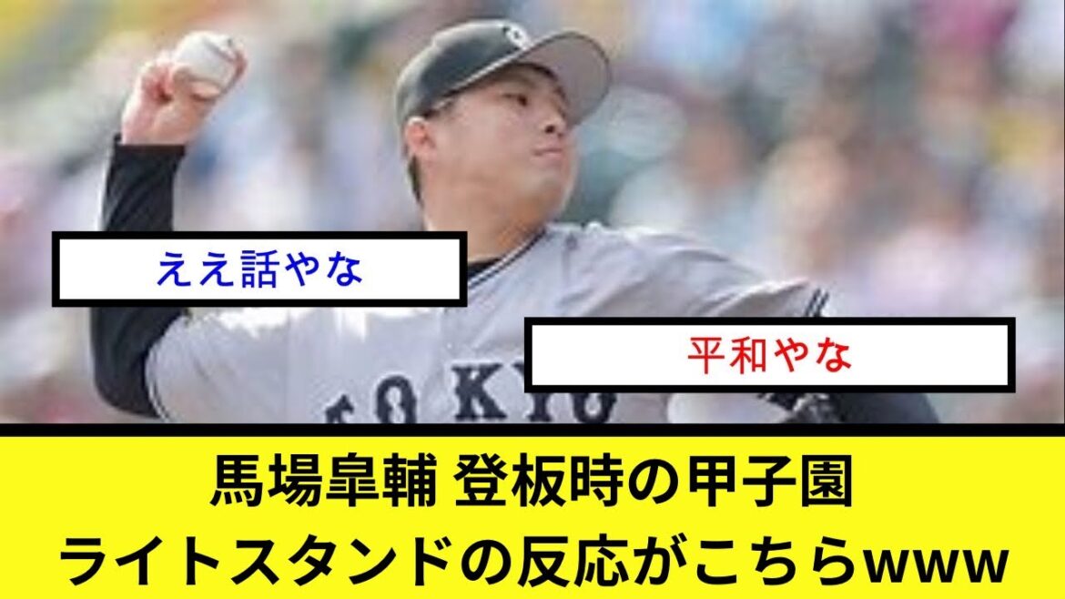 馬場皐輔 登板時の甲子園ライトスタンドの反応がこちらwww