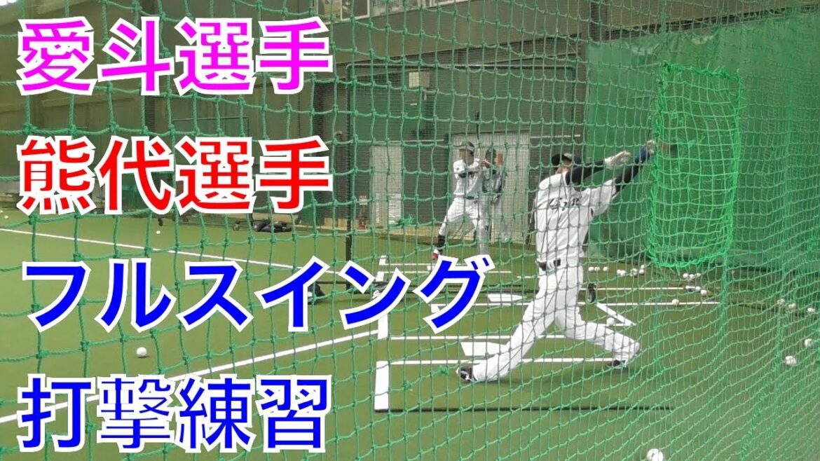 愛斗選手・熊代選手のフルスイング打撃練習【西武ライオンズ、春野キャンプ2018】