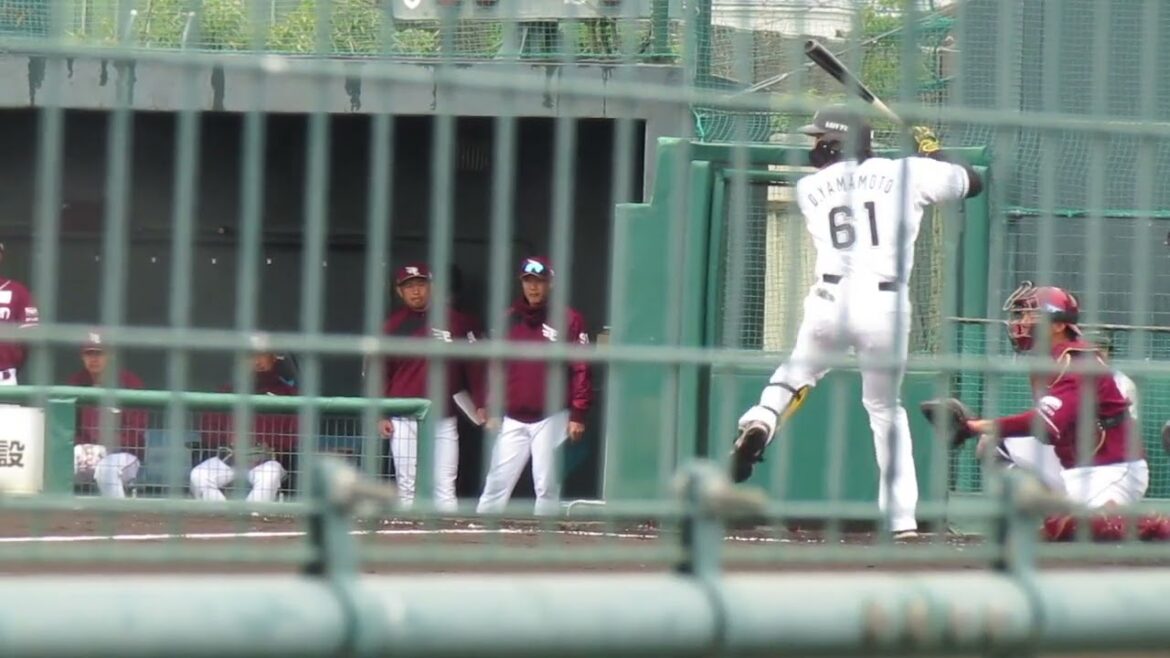 ロッテ 山本大斗2024バッティングフォーム（春季教育リーグ 千葉ロッテマリーンズ対 楽天ゴールデンイーグルス） ＃2024年3月5日