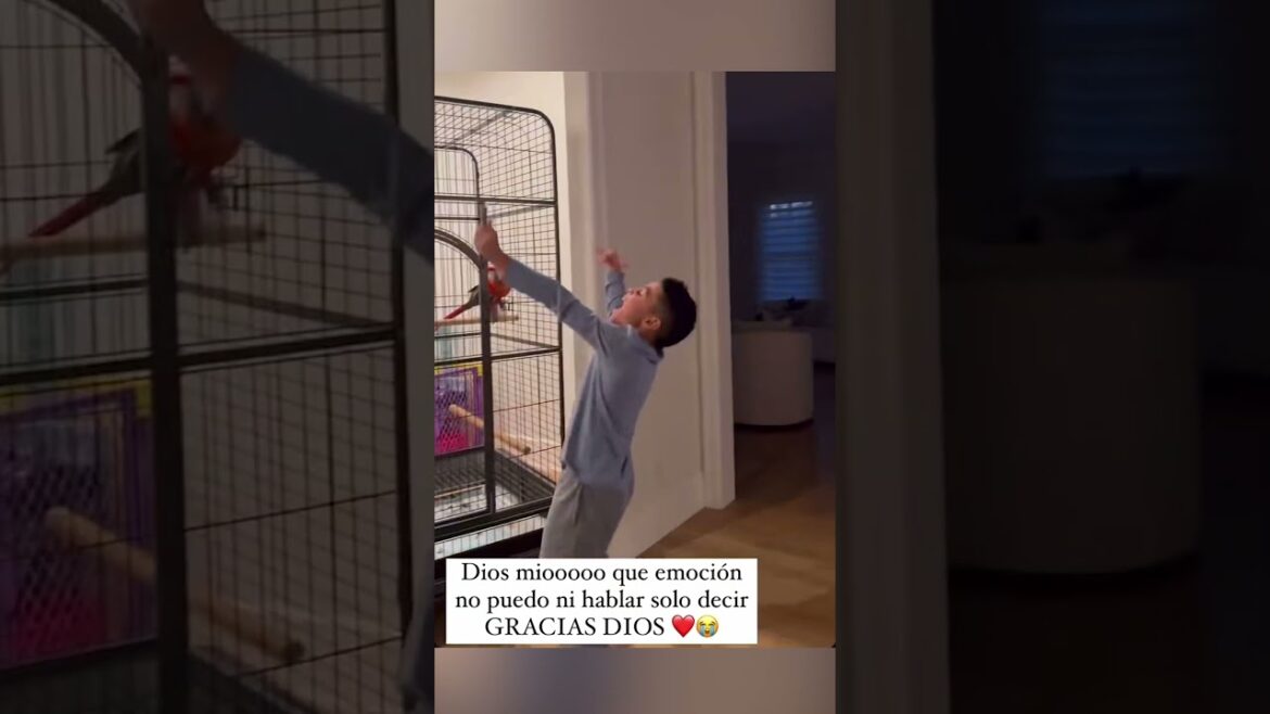 🎺 Edwin Diaz’s son reacts to his dad striking out the side ⚾ | #shorts 🎺 Edwin Diaz's son reacts to his dad striking out the side ⚾ | #shorts