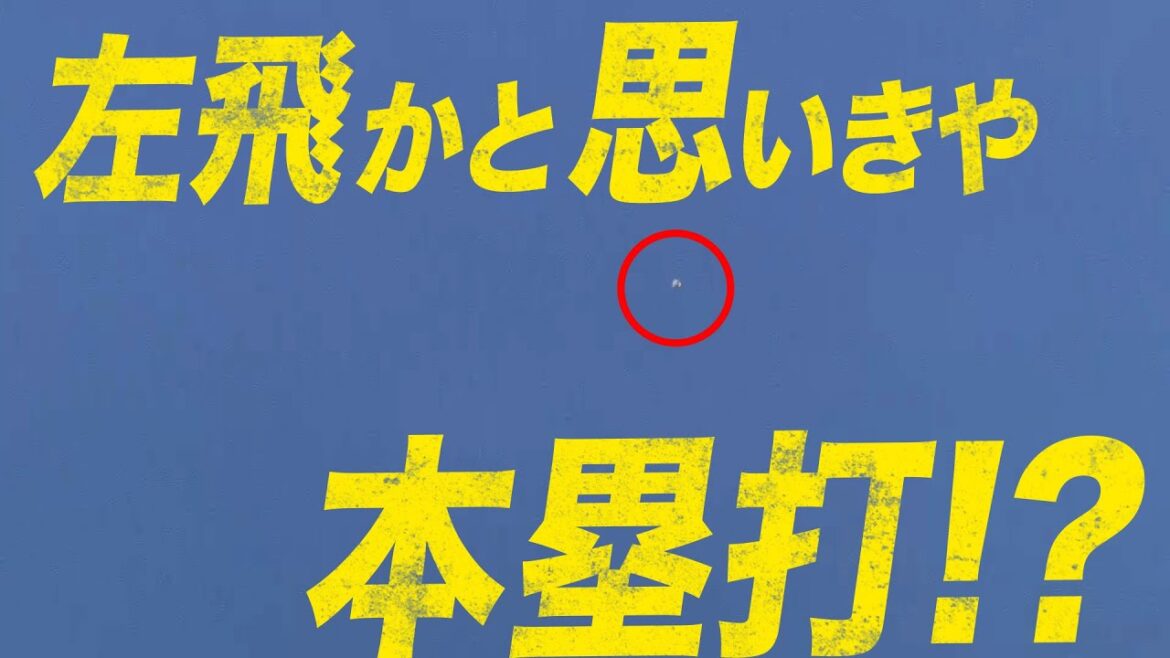 【本人は確信】近藤健介『レフトフライが本塁打に! 』