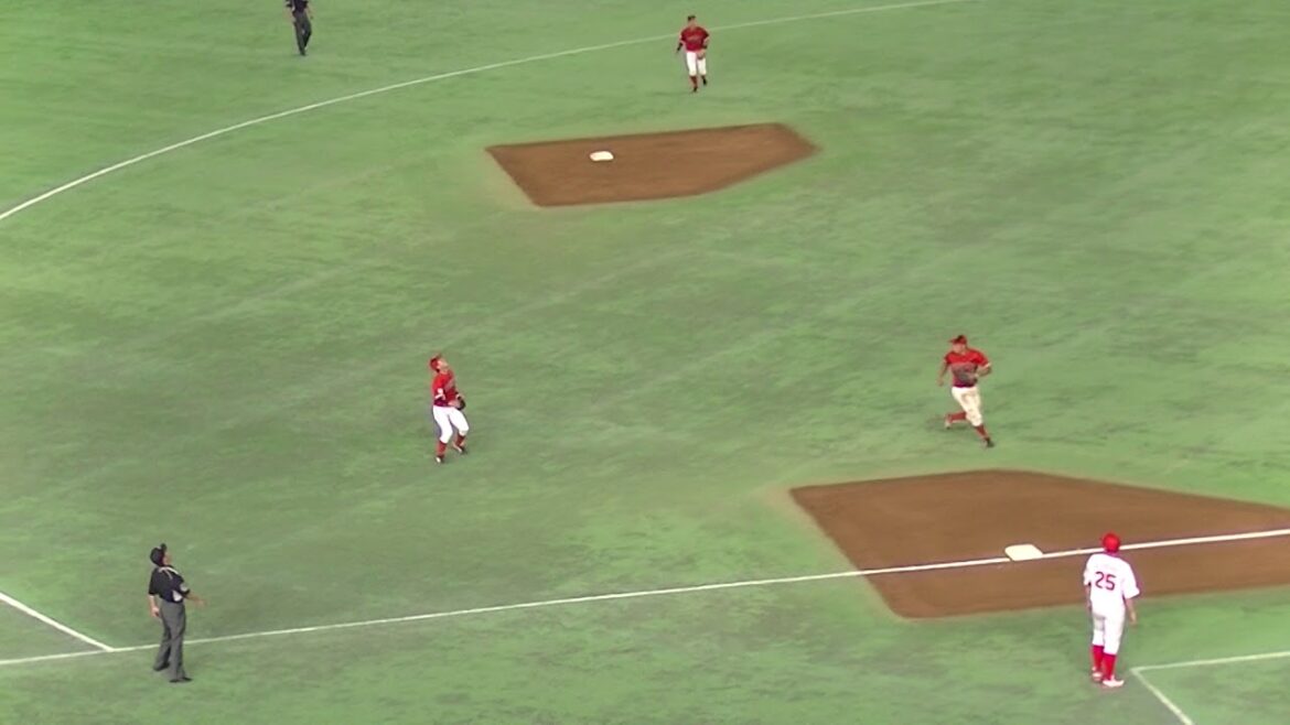 岡野祐一郎 3回裏先頭打者の大澤永貴を遊飛に打ち取る20180717