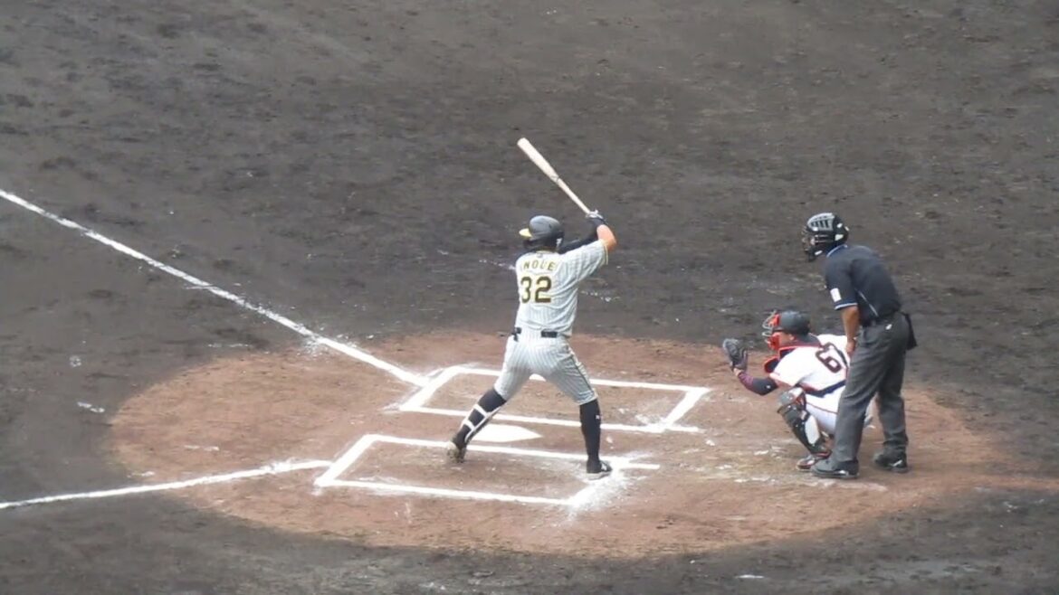 【タイガース】井上広大2024年 打撃フォーム（巨人阪神オープン戦2024年2月23日）