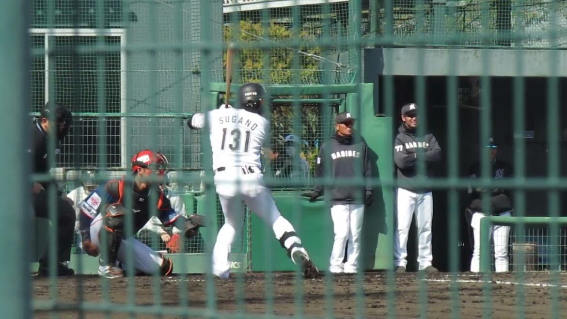 【マリーンズ】菅野剛士の打撃フォーム2024年3月7日 春季教育リーグロッテ浦和球場 千葉ロッテ対 オイシックス新潟アルビレックスBC
