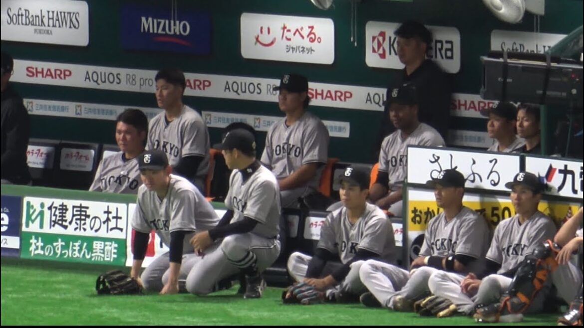 岡本和真＆坂本勇人もガン見😅ジャイアンツナインがホークスシートノックを真剣に観察🥹🥹ウォーカーの守備がかなり気になる模様😅2023.3.13⚾️ソフトバンク対巨人試合前