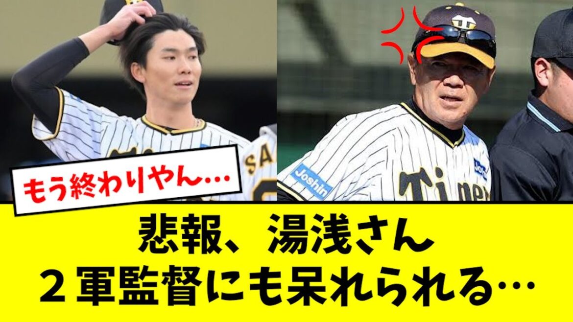 【悲報】湯浅、ついに2軍監督にまで呆れられてしまう… 【悲報】湯浅、ついに2軍監督にまで呆れられてしまう…