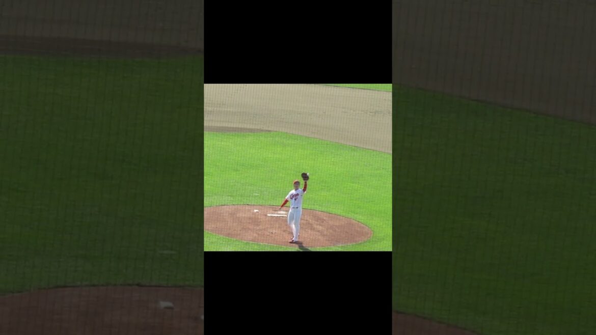 カープ山口 翔の投球練習 【合同トライアウト2022年11月8日】