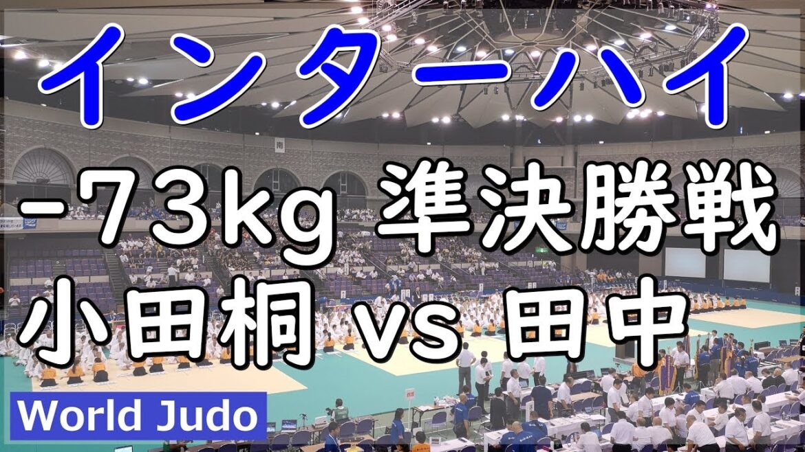 インターハイ柔道 2019  73kg 準決勝戦 小田桐 vs 田中 JUDO