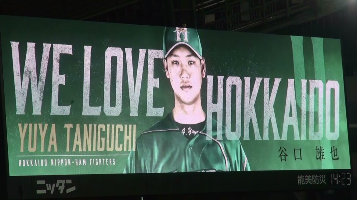 2019年 ファイターズ バッティング登場映像 谷口雄也（WE LOVE HOKKAIDO版）
