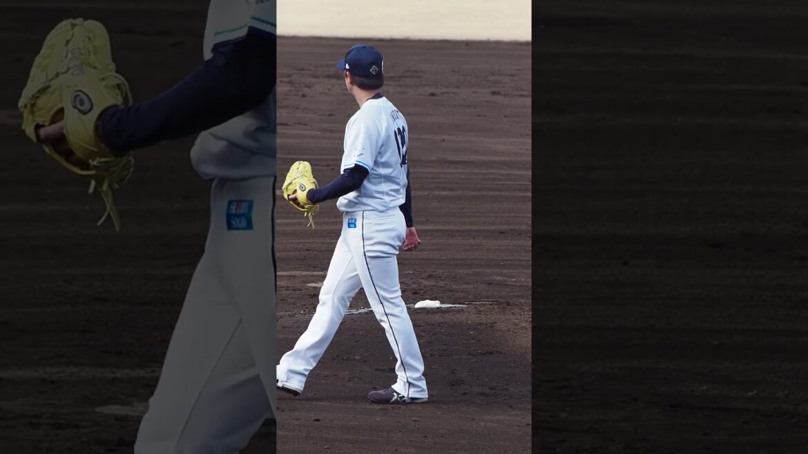 2024.03.03 埼玉西武-東北楽天(カーミニーク) 井上広輝 投球シーン #プロ野球 #seibulions