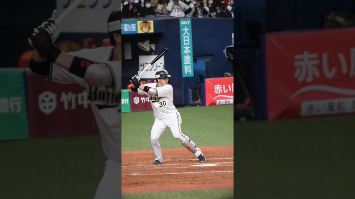 3月8日 オリックスバファローズ 廣岡大志選手の打席 #オリックスバファローズ #プロ野球 #廣岡大志 #baseball #short