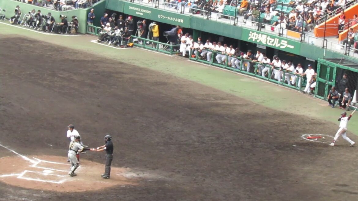 松原聖弥の打席とその時の巨人ベンチ〜オープン戦 読売ジャイアンツ対 阪神タイガース2024年2月23日