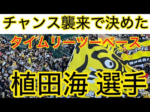 【 #チャンス襲来で決めた】 #阪神 #植田海 選手 タイムリーツーベースヒット 〜六甲おろし 24.3. 10. 🆚 #読売ジャイアンツ ⚾️OP戦 🏟 #阪神甲子園球場 【 #チャンス襲来で決めた】 #阪神 #植田海 選手 タイムリーツーベースヒット 〜六甲おろし 24.3. 10. 🆚 #読売ジャイアンツ ⚾️OP戦 🏟 #阪神甲子園球場