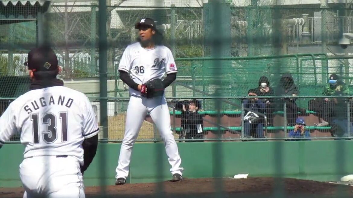 【マリーンズ】坂本光士郎の投球フォーム2024年3月7日 春季教育リーグロッテ浦和球場 千葉ロッテ対 オイシックス新潟アルビレックスBC