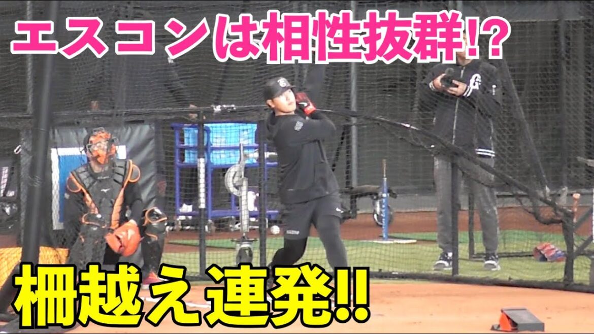 巨人岡本和真選手、初エスコンで弾丸ライナーの柵越え連発！ジャイアンツ ウォームアップ