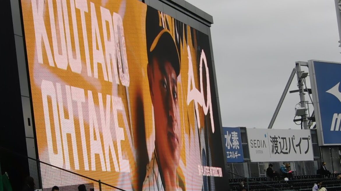 2024 新演出 阪神 大竹耕太郎 登場曲/水平線