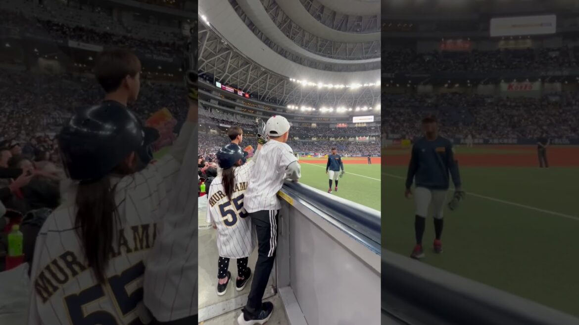 惜しかった子①【万波中正選手】1#野球  #万波中正 #万波 #侍ジャパン #WBC #baseball #memorabilia  #メモラビリア