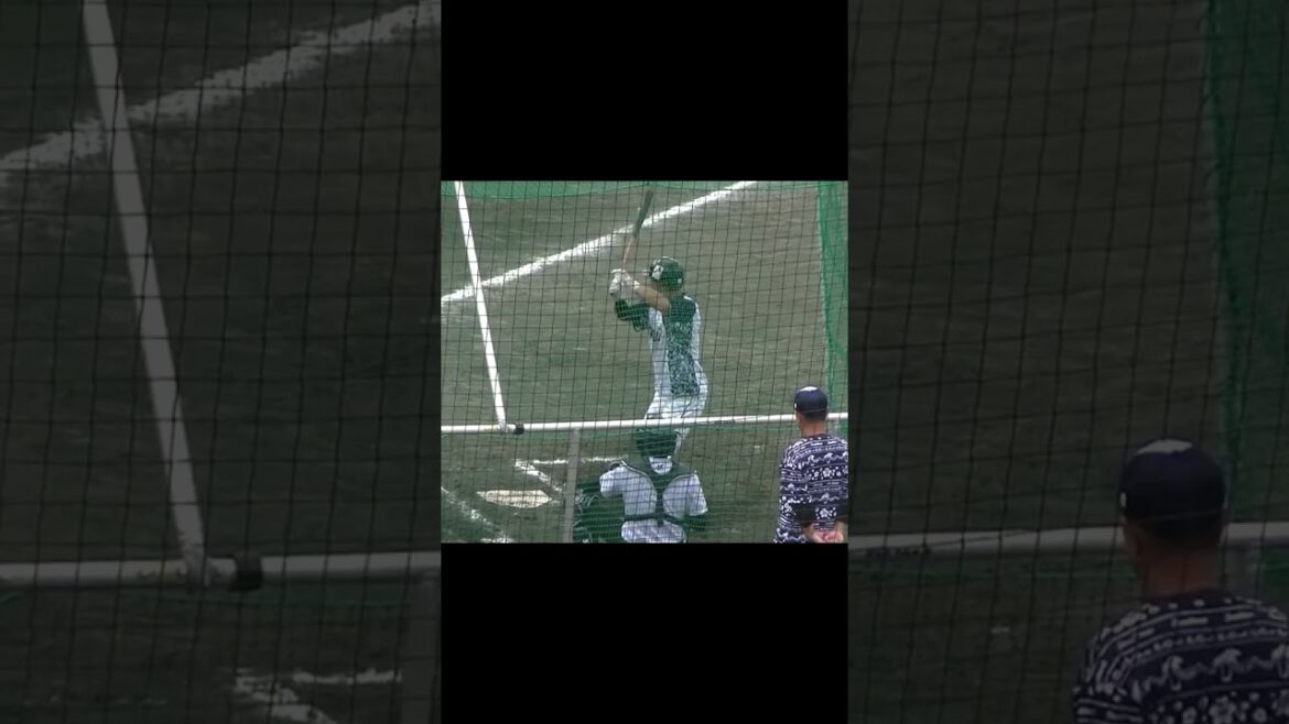 スワローズ宮本丈のフリーバッティング練習〜東京ヤクルトスワローズ春季キャンプ2024年2月20日