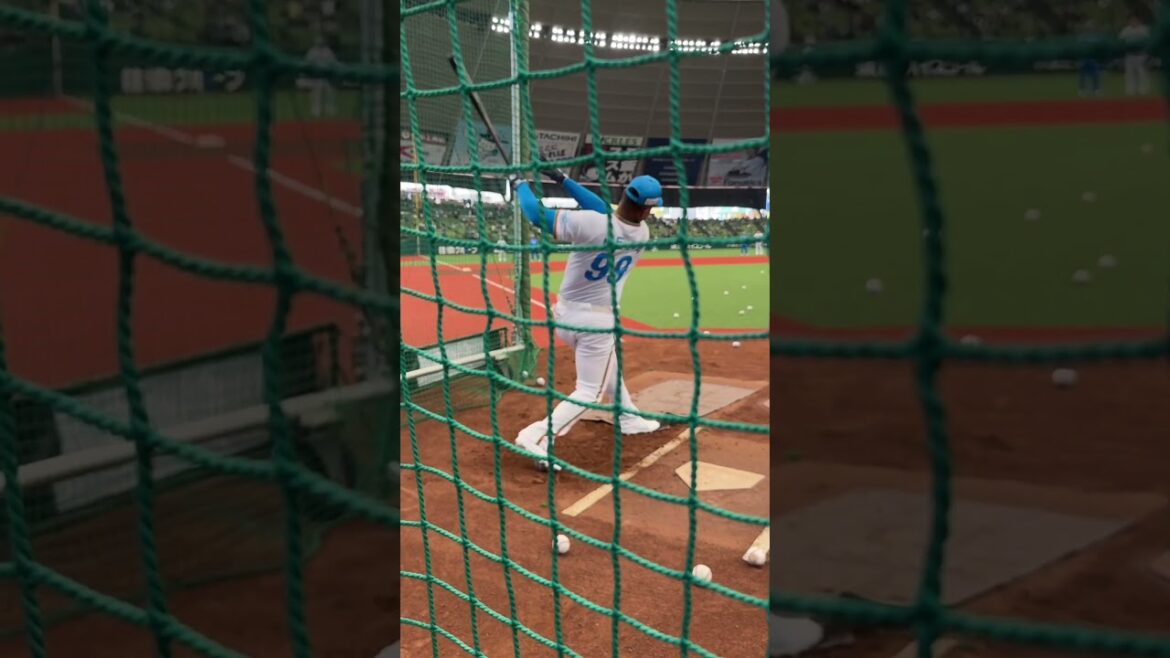 【OB陣が悲鳴！？】メヒア選手の打撃練習にレジェンドたち驚愕【西武OB戦】