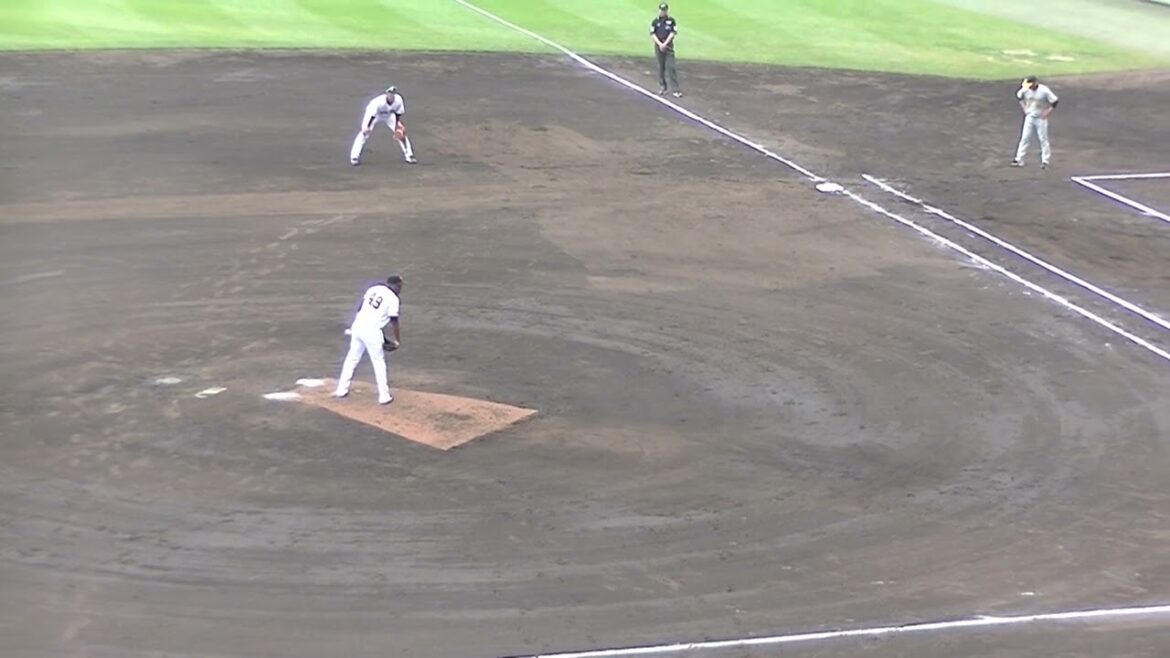 調子良さげ 坂本誠志郎ポーンとレフトへヒット【オープン戦 読売ジャイアンツ対 阪神タイガース2024年2月23日】