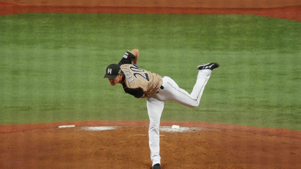 北海道日本ハムファイターズ 上原健太 投球フォーム