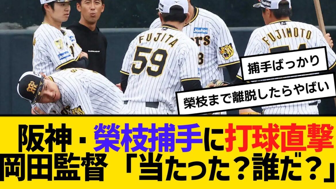 【アクシデント】阪神・榮枝捕手に打球直撃!岡田監督「当たった?誰だ?」 【2ch】【5ch】【反応】 【アクシデント】阪神・榮枝捕手に打球直撃!岡田監督「当たった?誰だ?」 【2ch】【5ch】【反応】