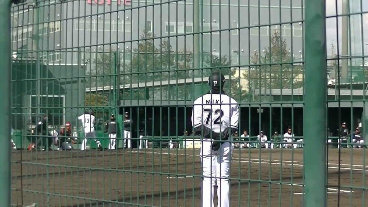 ロッテ菅野剛士を打ち取るオイシックス新潟 下川 隼佑 【千葉ロッテマリーンズ対オイシックス新潟アルビレックスBC2024年3月7日】