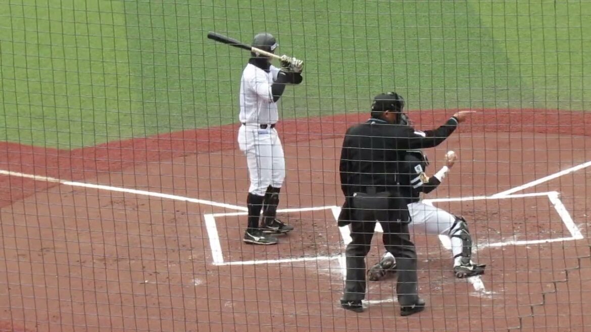 マリーンズ 山口航輝のバッティングフォーム千葉ロッテマリーンズ対ソフトバンクホークス2024年3月8日