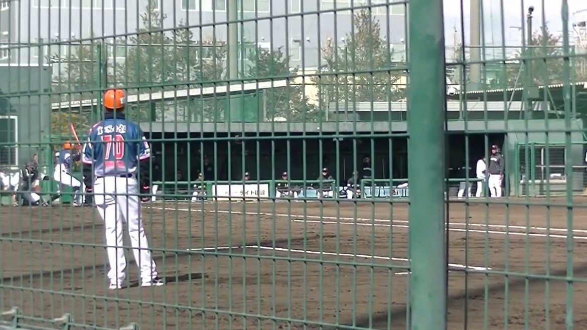 オイシックス新潟 篠田大聖 ロッテ坂本光士郎からヒットを放つ【千葉ロッテマリーンズ対オイシックス新潟アルビレックスBC2024年3月7日】