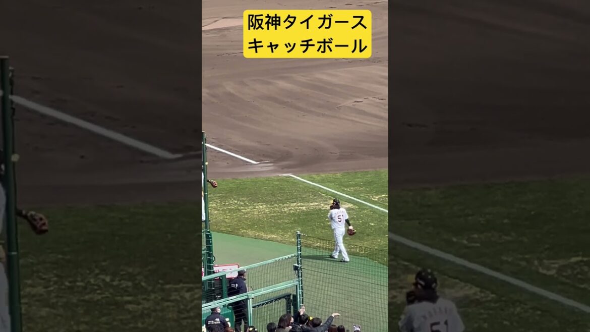 #阪神タイガース